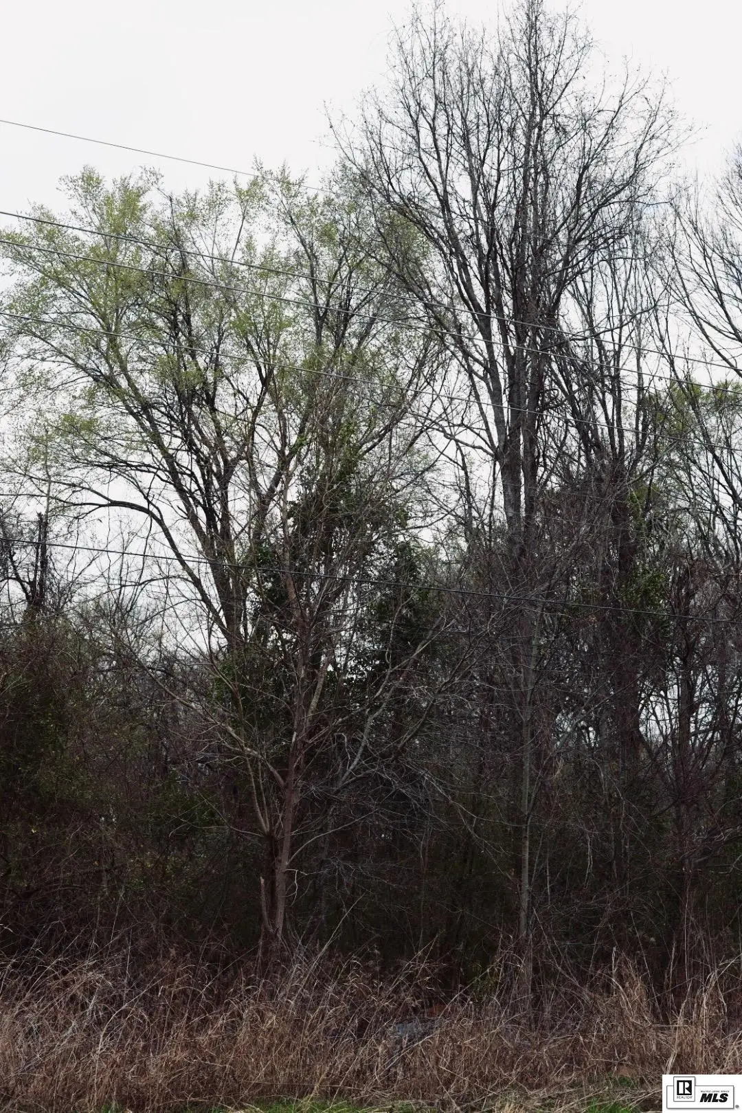 0 Highway 562, Wisner, LA 71378 - #1