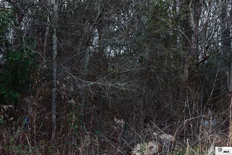 0 Highway 562, Wisner, LA 71378 - #2