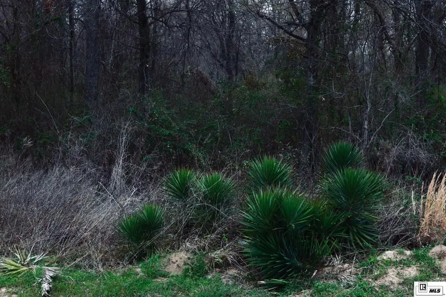 0 Highway 562, Wisner, LA 71378 - #3