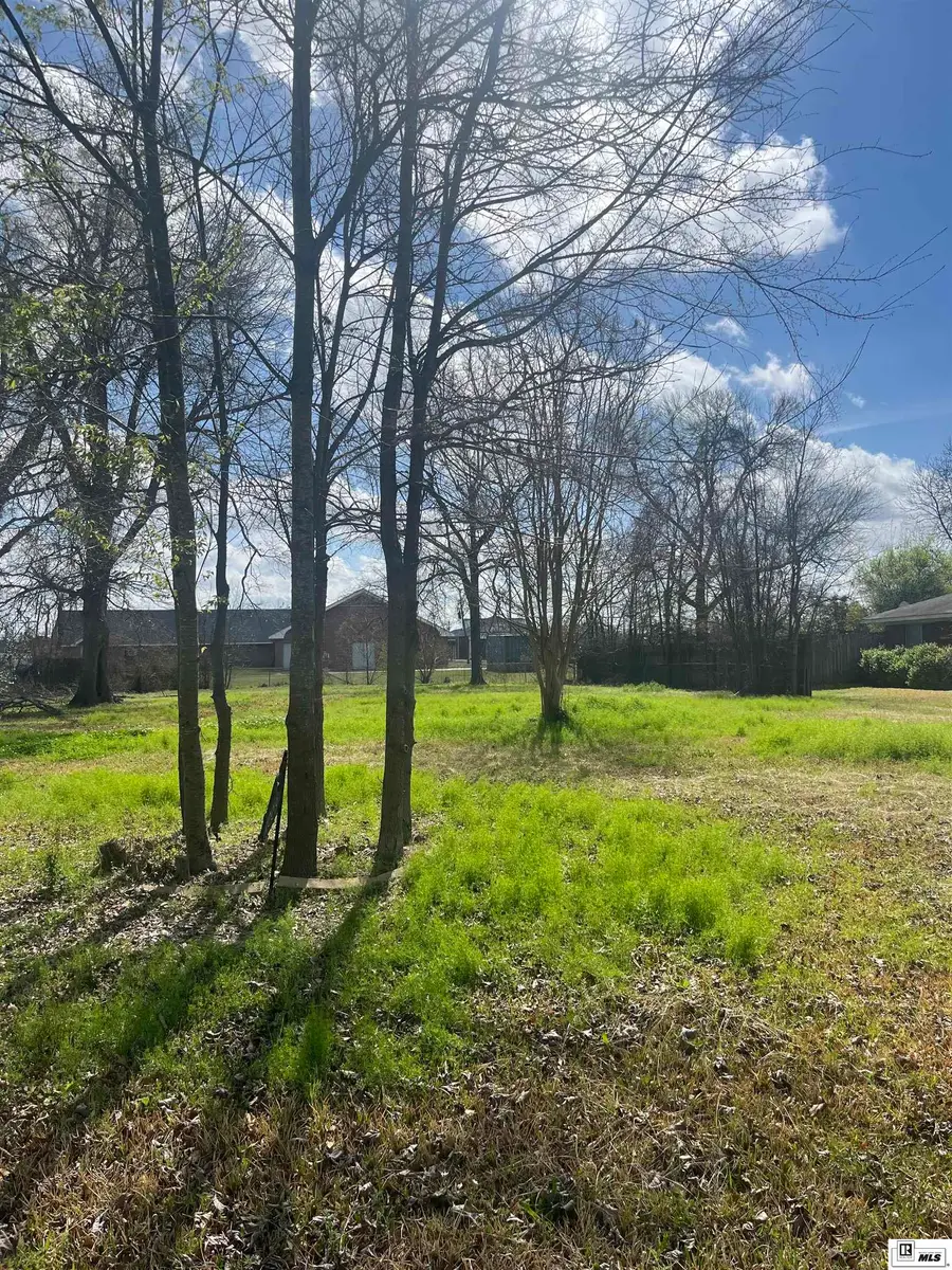 1008 Roselawn Avenue, Monroe, LA 71201-0000 - #2