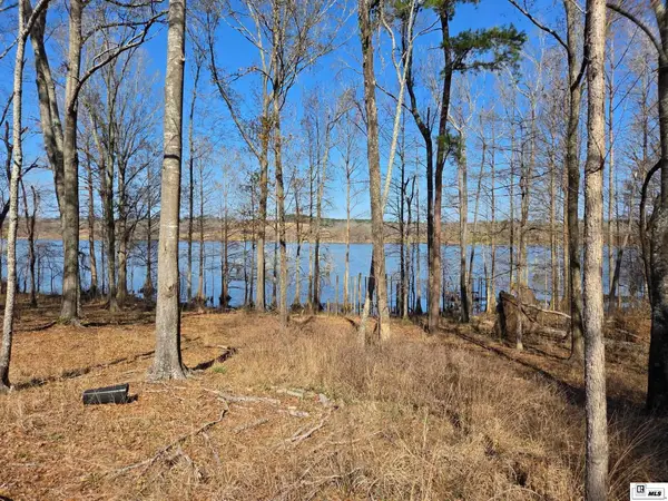 358 Lolley Road, Downsville, LA 71234-0000