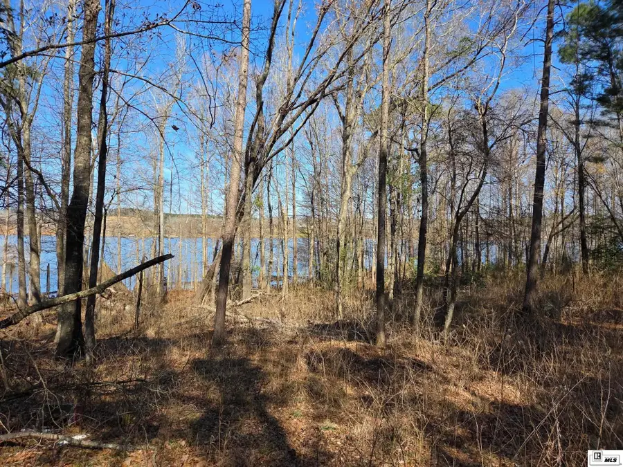 358 Lolley Road, Downsville, LA 71234-0000 - #2