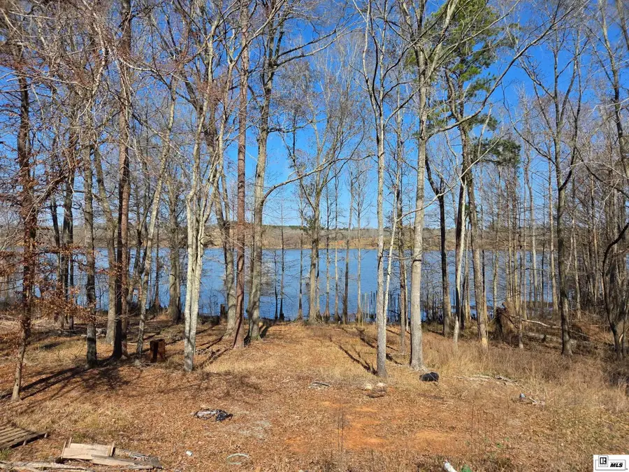 358 Lolley Road, Downsville, LA 71234-0000 - #3