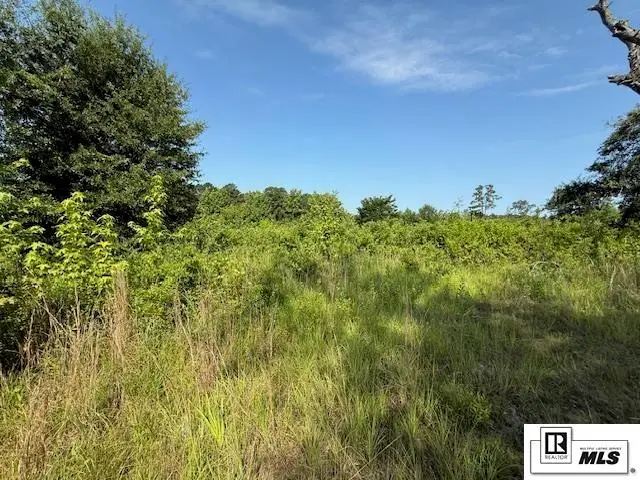 4434 Highway 33, Marion, LA 71260 - #3