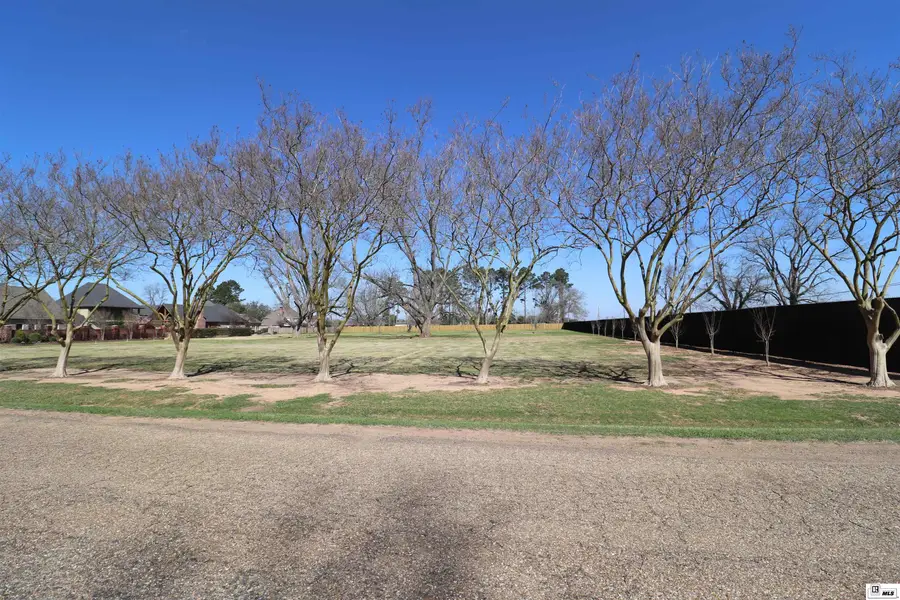 220 Orchard Run, Natchitoches, LA 71457 - #3