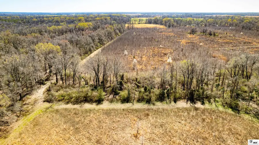 474 Hays Lane, Oak Grove, LA 71263 - #2