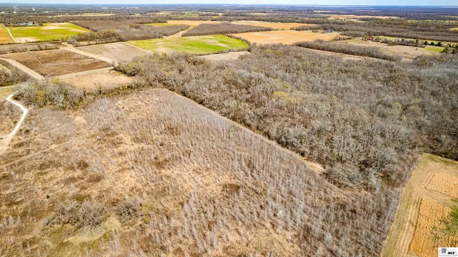 474 Hays Lane, Oak Grove, LA 71263 - #3