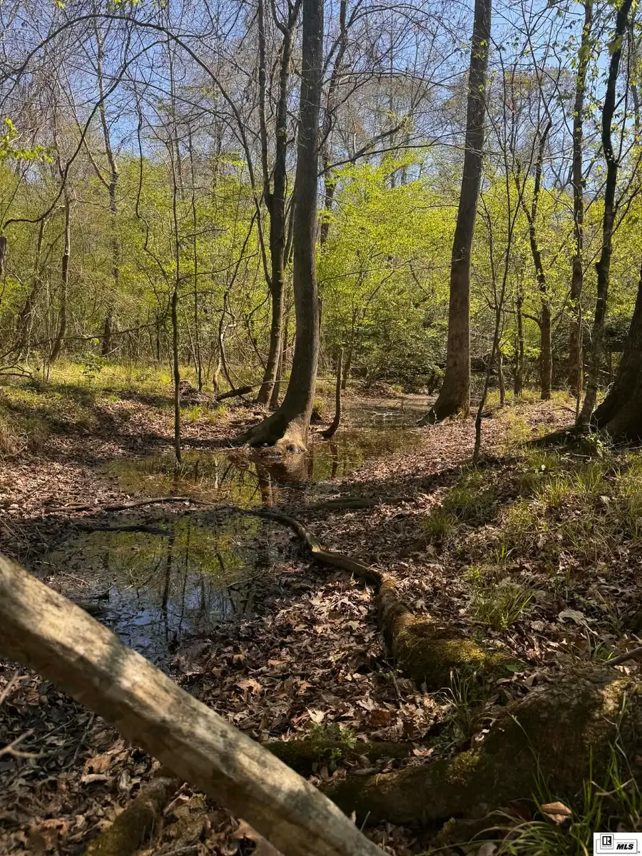 Camp Road, Homer, LA 71040 - #2