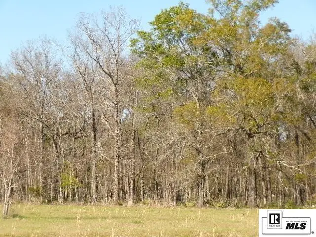 0 Cruse Lane, Winnsboro, LA 71295 - #2