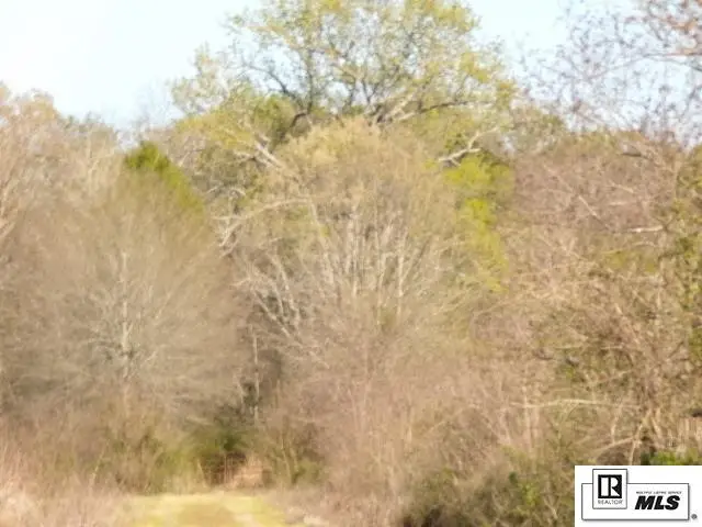 0 Cruse Lane, Winnsboro, LA 71295 - #3