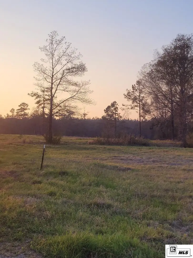 Old Monroe Highway, Monroe, LA 71203 - #2