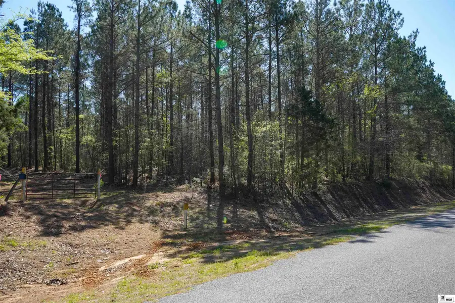 0 Anderson Road, Choudrant, LA 71227 - #2