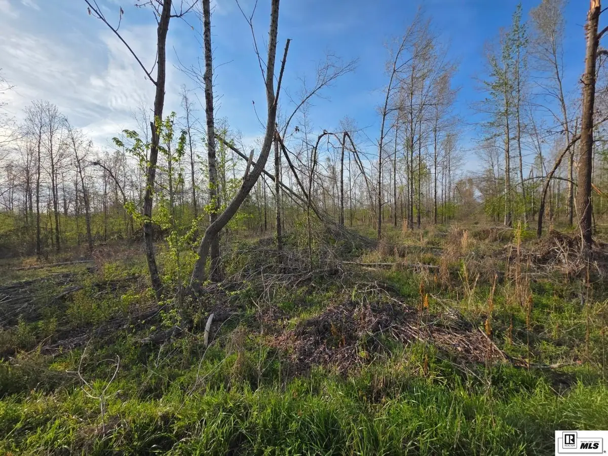 0 Carey Smith Road, Mangham, LA 71259 - #1