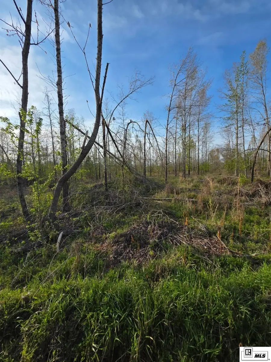 0 Carey Smith Road, Mangham, LA 71259 - #2