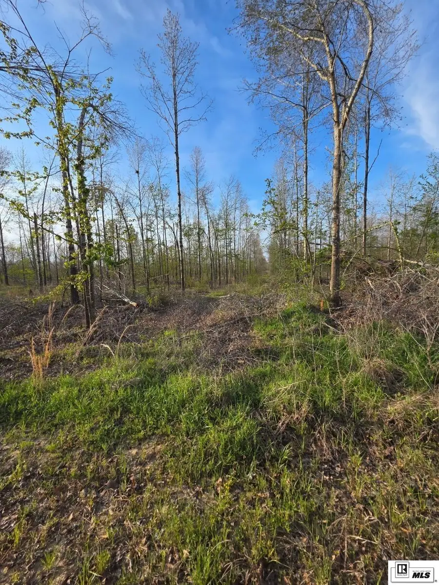 0 Carey Smith Road, Mangham, LA 71259 - #3