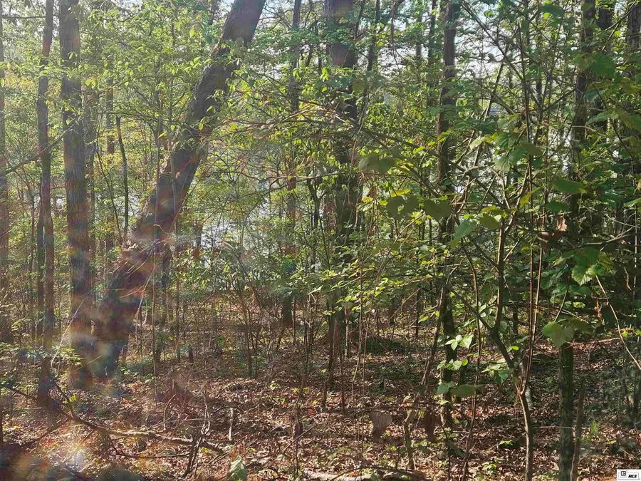 0 Iley Evans Road, West Monroe, LA 71292 - #2