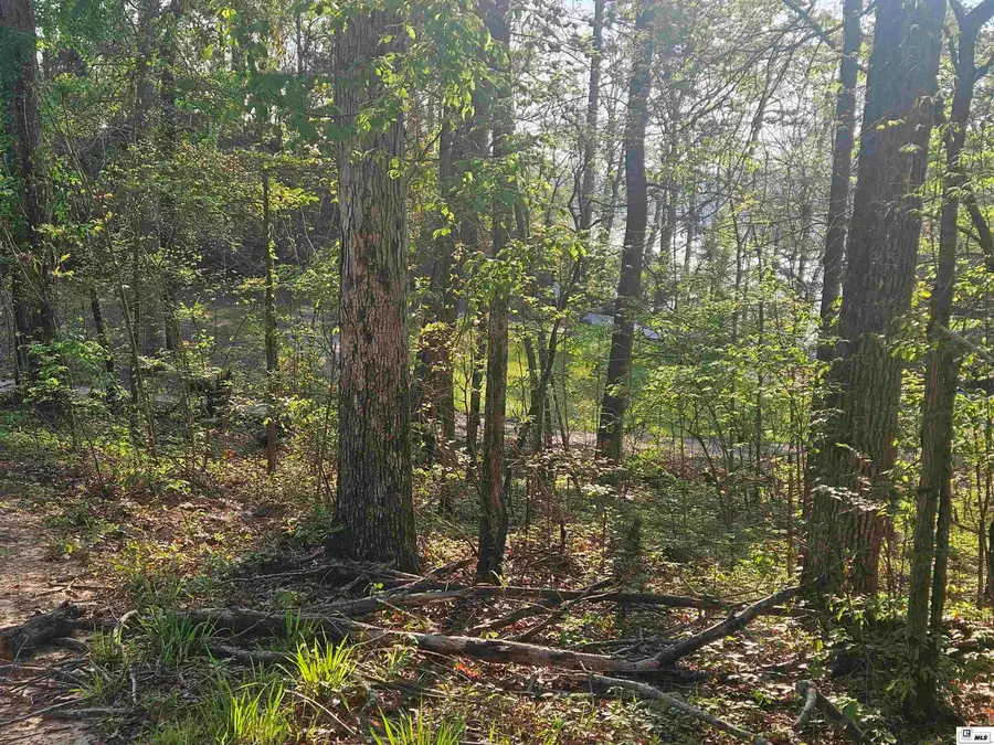 0 Iley Evans Road, West Monroe, LA 71292 - #3