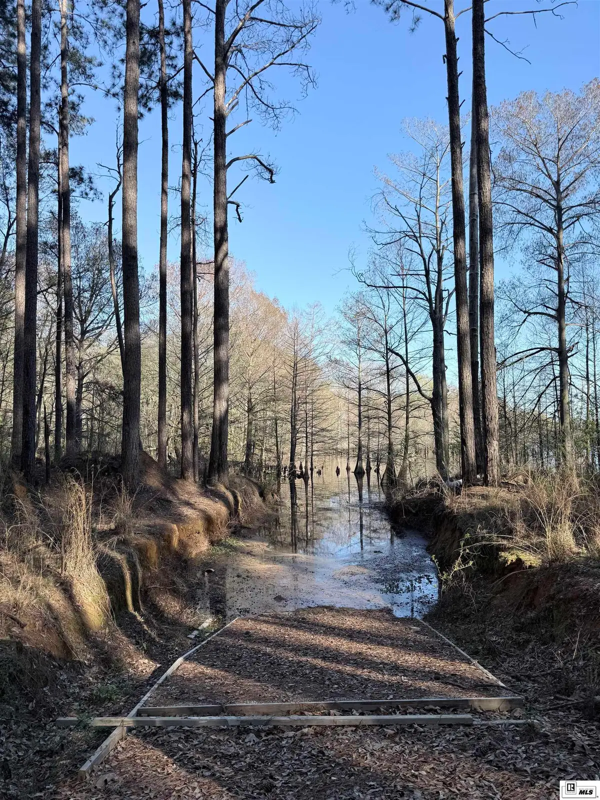 1187 Websters Bluff Road, Farmerville, LA 71241 - #1