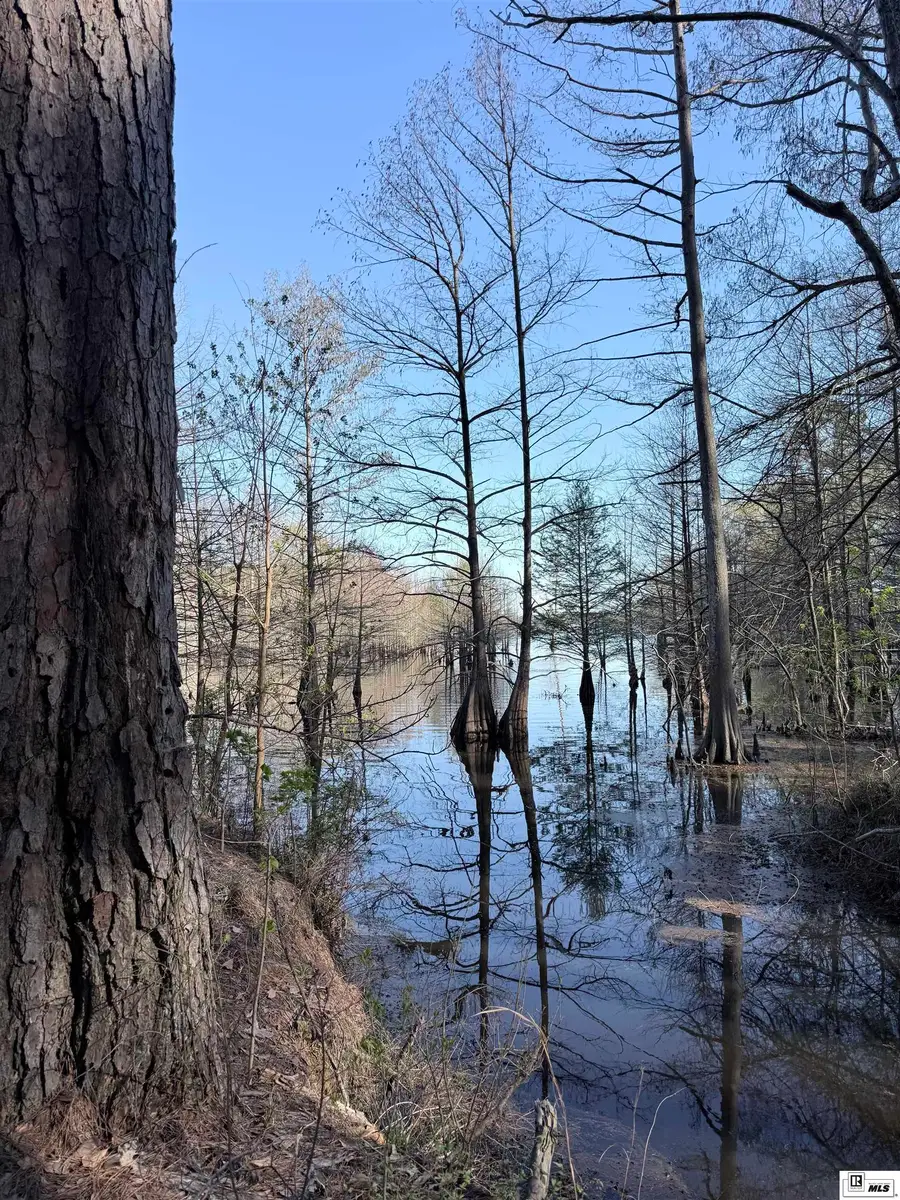 1187 Websters Bluff Road, Farmerville, LA 71241 - #2