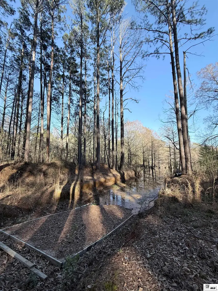 1187 Websters Bluff Road, Farmerville, LA 71241 - #3