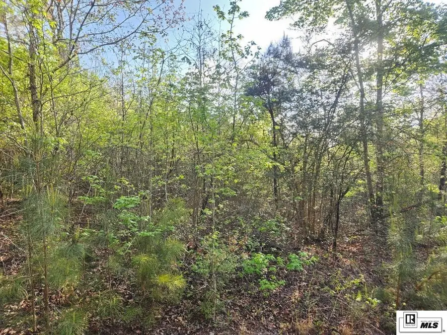 0 Lapine Road, West Monroe, LA 71292 - #3