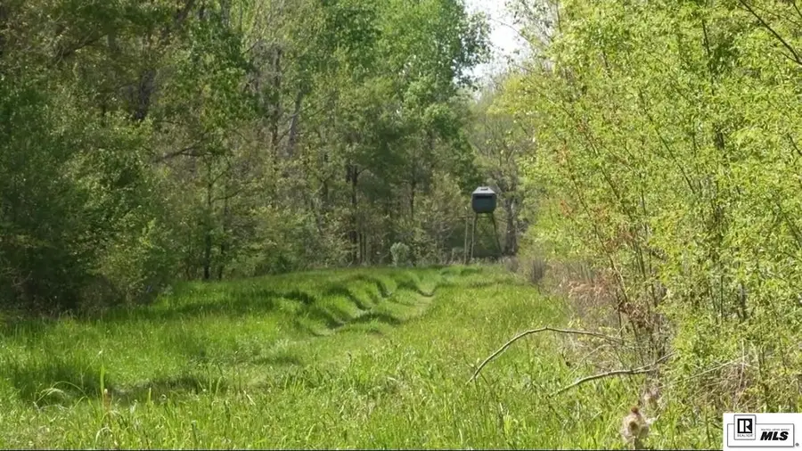 00 Deer Park Highway, Vidalia, LA 71373 - #3