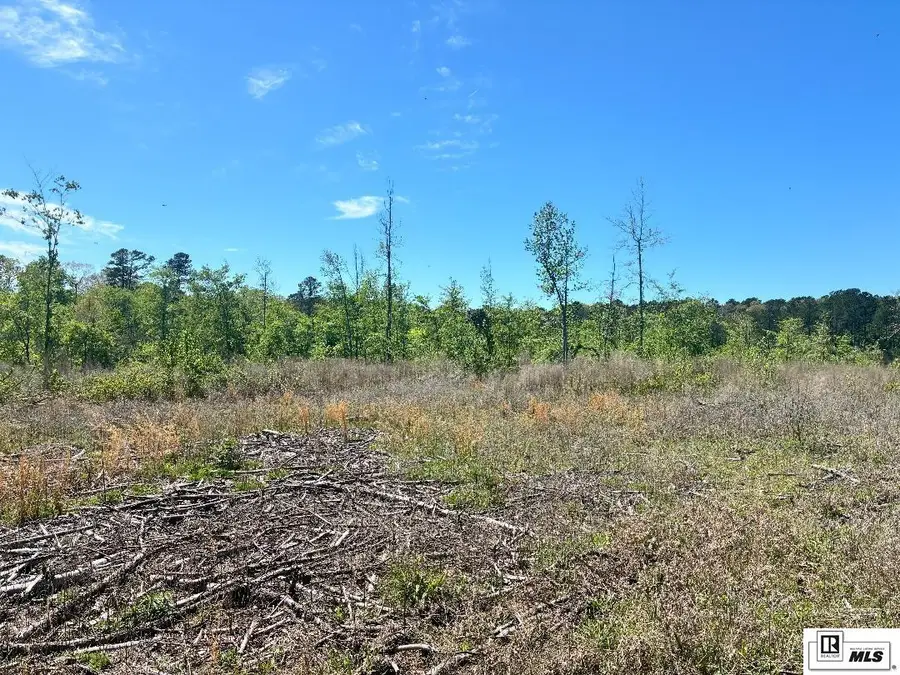 0 Highway 828, Farmerville, LA 71040 - #2