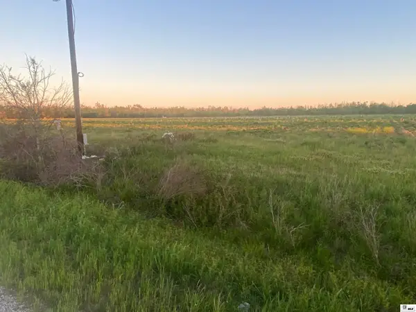 0 Caston Road, Rayville, LA 71269