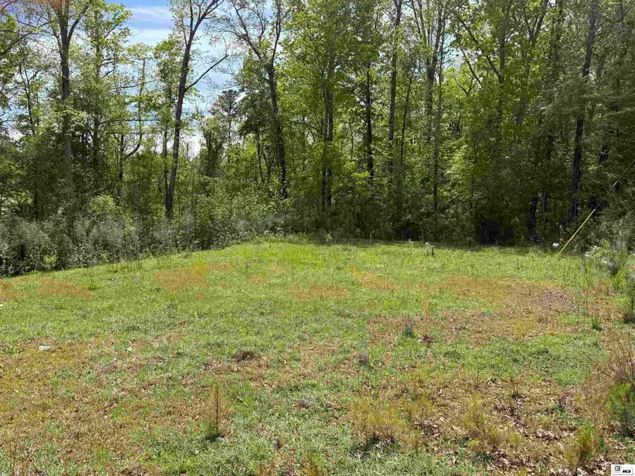 407 Barber Drive, Ruston, LA 71270 - #2