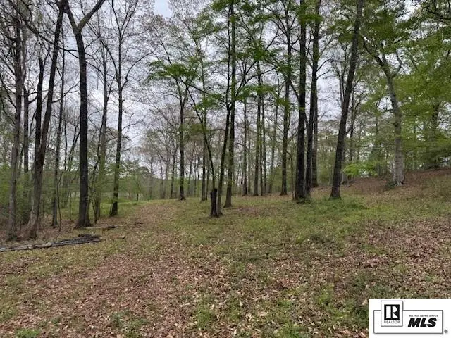 434 Walnut Creek Road, Simsboro, LA 71275-0000 - #3