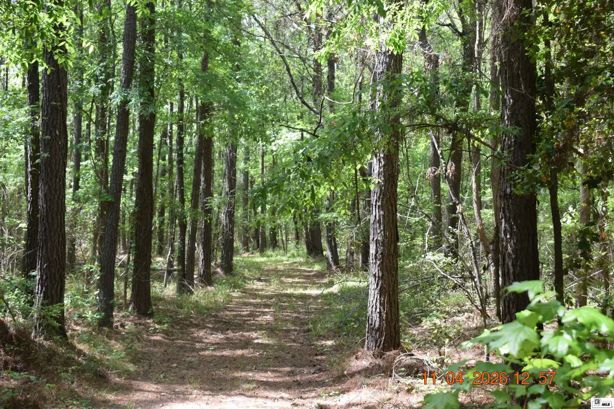 0 Cameron Road, Bastrop, LA 71220 - #1