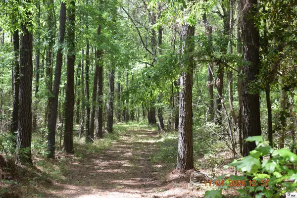 0 Cameron Road, Bastrop, LA 71220