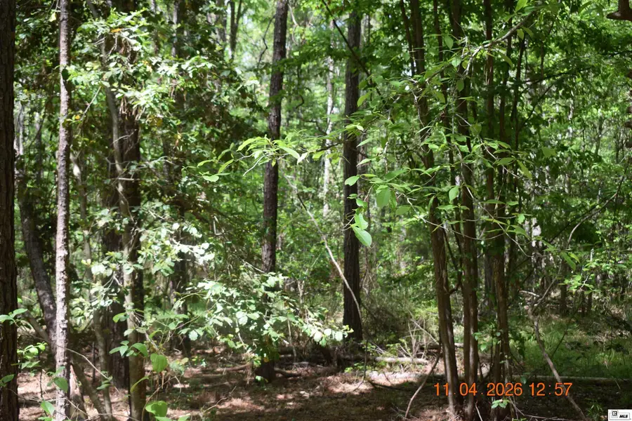 0 Cameron Road, Bastrop, LA 71220 - #2