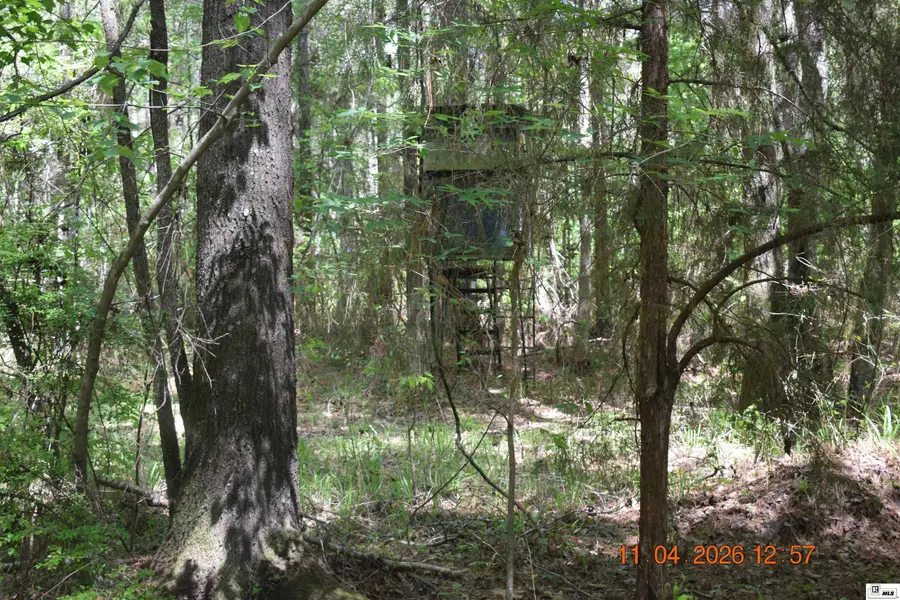 0 Cameron Road, Bastrop, LA 71220 - #3