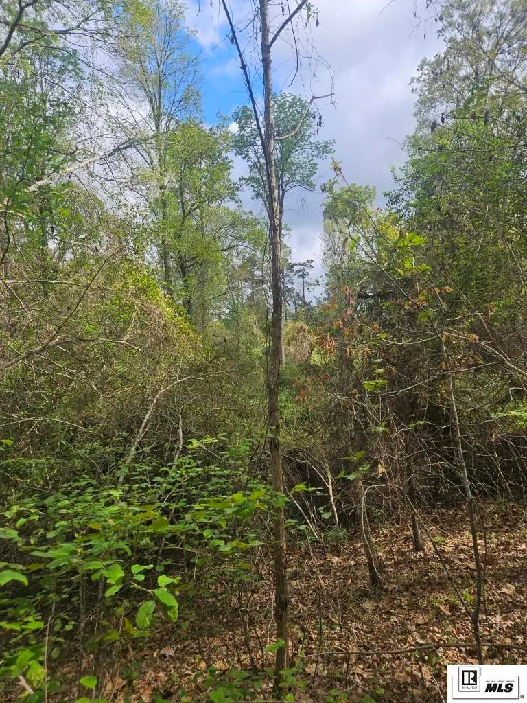 0 Richard Linder Road, Calhoun, LA 71225 - #1