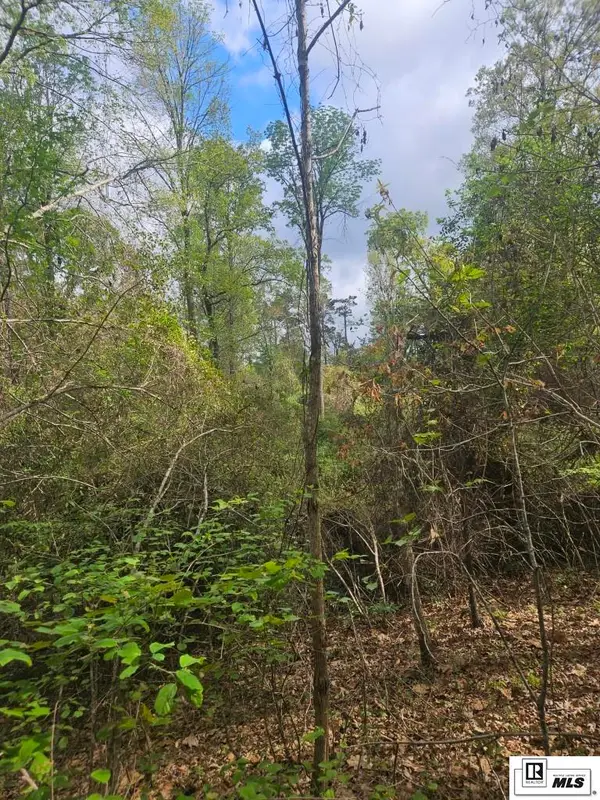 0 Richard Linder Road, Calhoun, LA 71225