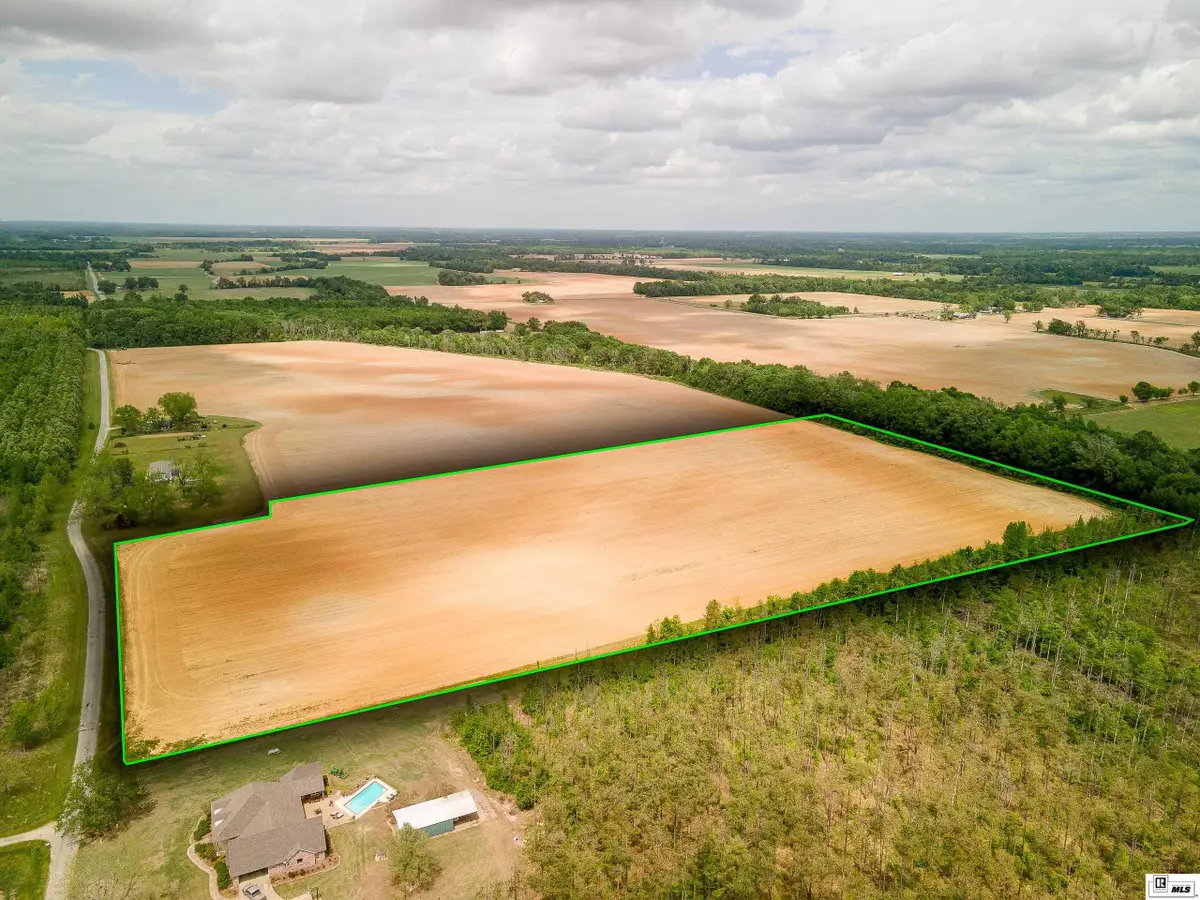 0 Augustus Road, Mangham, LA 71259 - #1