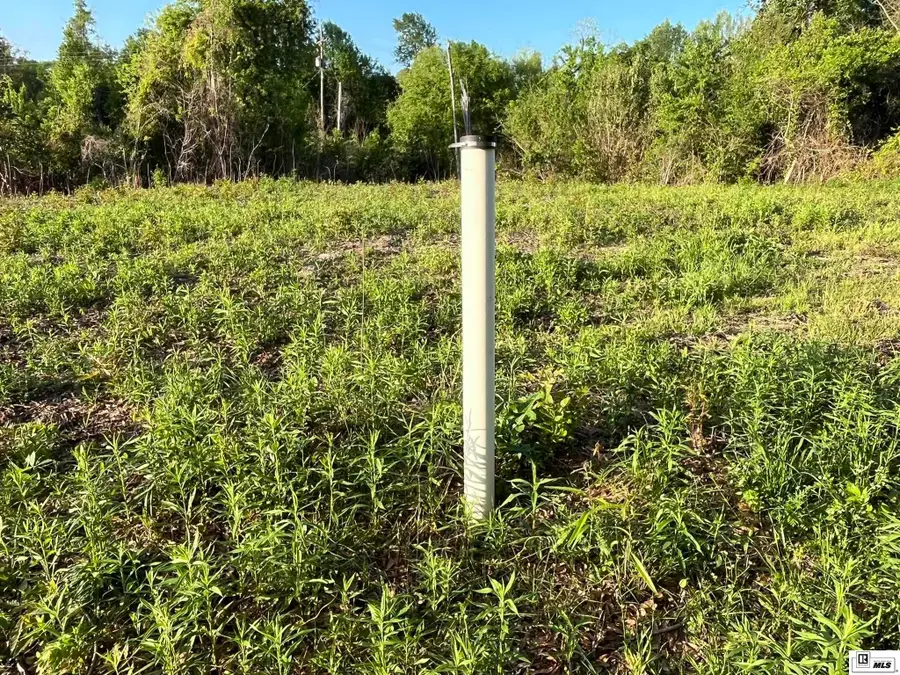 613 Evans Street, Ruston, LA 71270 - #3