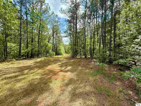 130 Doyston Road, Simsboro, LA 71275