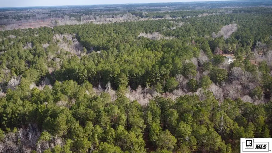 130 Doyston Road, Simsboro, LA 71275 - #3