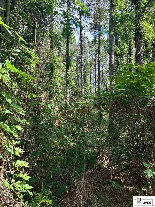 00 Arnold Road, Choudrant, LA 71227