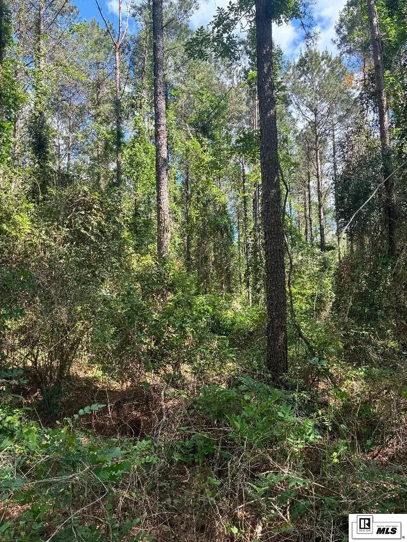 00 Arnold Road, Choudrant, LA 71227 - #2