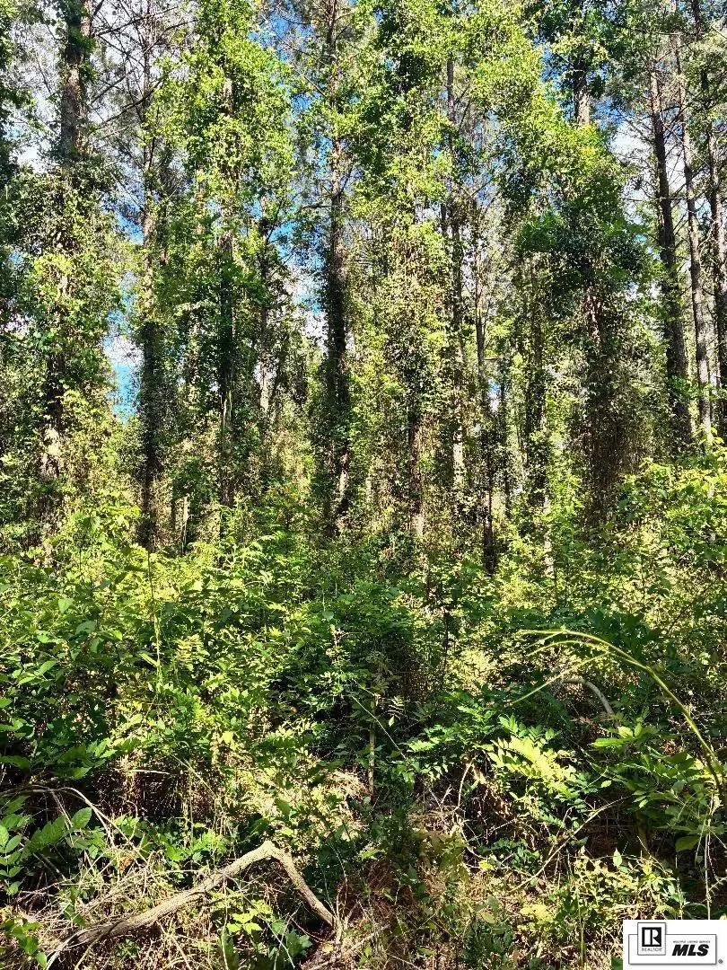 00 Arnold Road, Choudrant, LA 71227 - #3