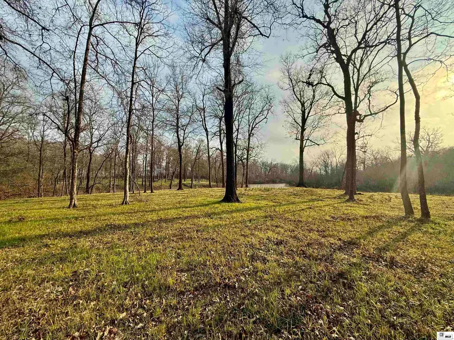 0 Ratcliff Road, Sicily Island, LA 71368 - #3