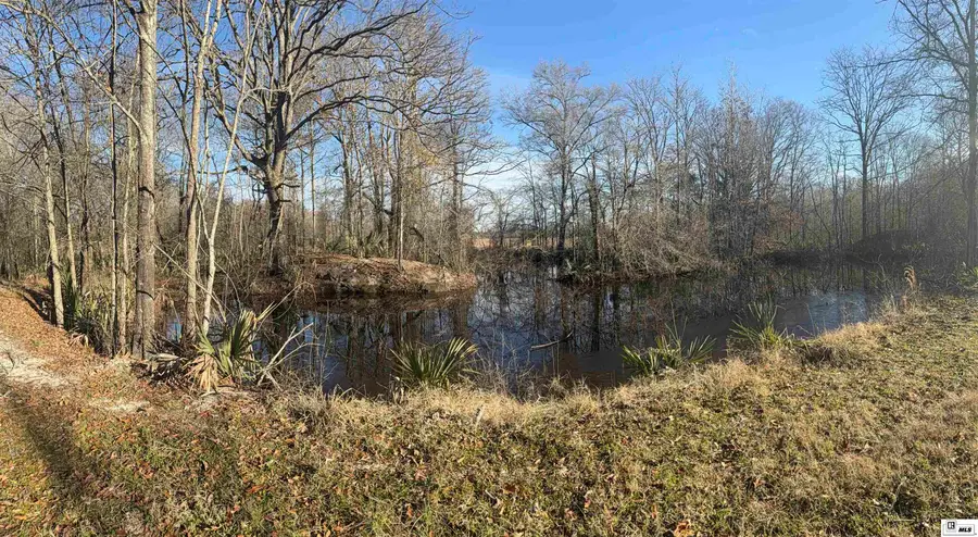456 Warren Road, Oak Grove, LA 71263 - #3