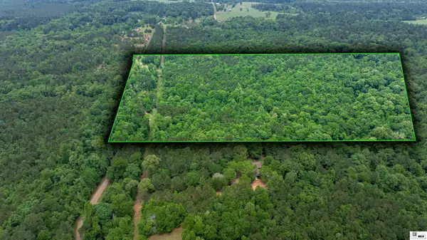 0 Carroll Brashier Road, Downsville, LA 71234