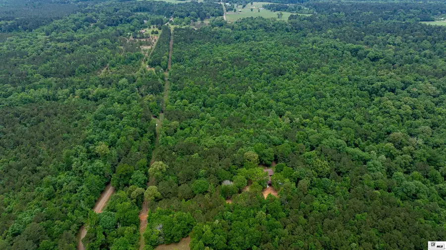 0 Carroll Brashier Road, Downsville, LA 71234 - #2