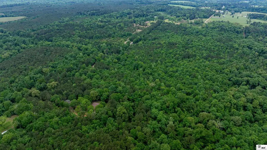 0 Carroll Brashier Road, Downsville, LA 71234 - #3