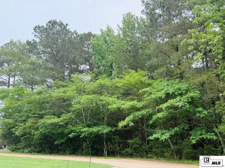 119 Cove View Road, Grambling, LA 71245 - #3