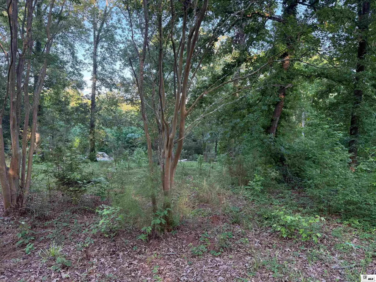 138 Buck Drive, Downsville, LA 71234 - #1